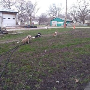 Meet your Posher, Teresa